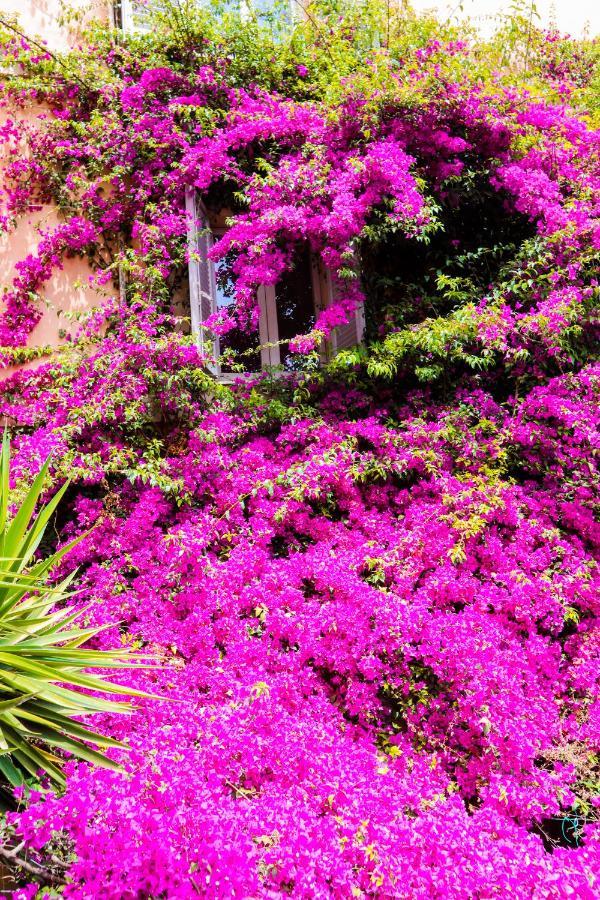 Orti 27 Garden Rome Trastevere - Rome Vacation M&D Exteriér fotografie